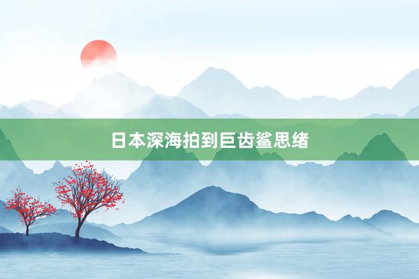 日本深海拍到巨齿鲨思绪